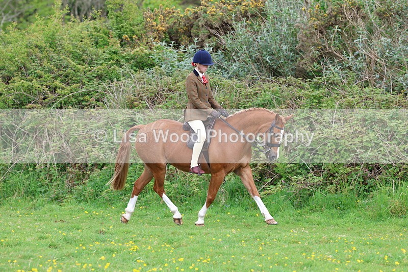 3E7A1402 - Class 8: Ridden Veteran Junoir and Senior