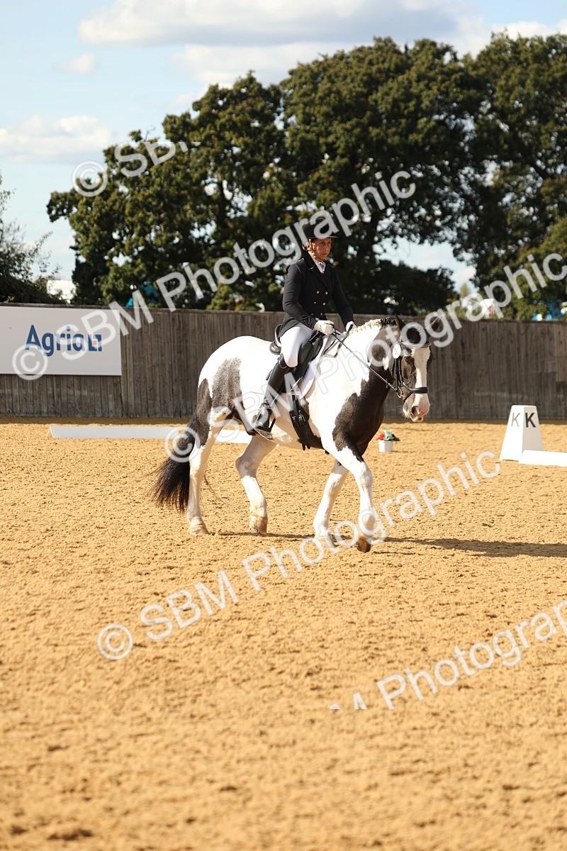 SBM_26722 - D17 - Grand Tour Championship - Novice 27