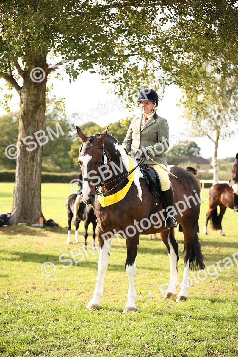 SBM_50245 - S26 - Young Veteran - Ridden