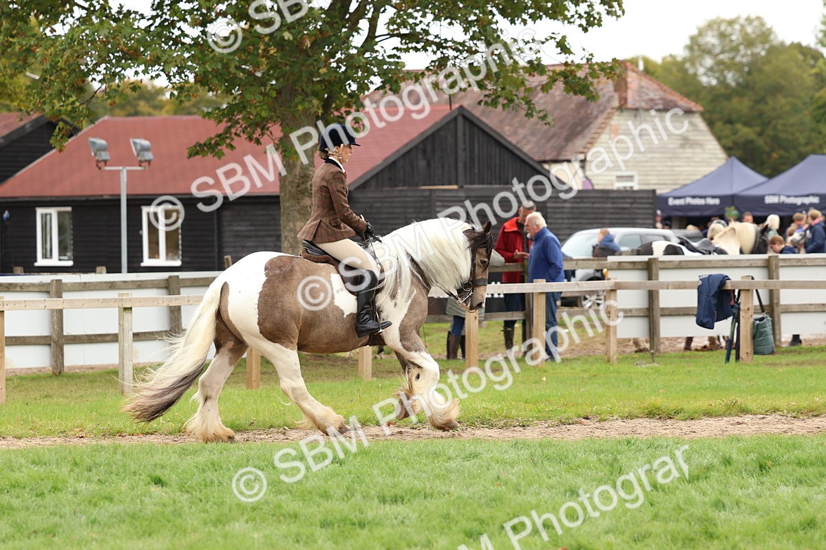 SBM_64490 - S58 - Coloured Pony Ridden