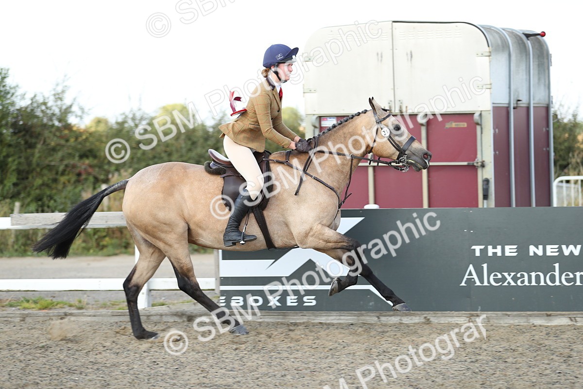 SBM_07024 - Class 49b Style & Performance 80cm (20+)