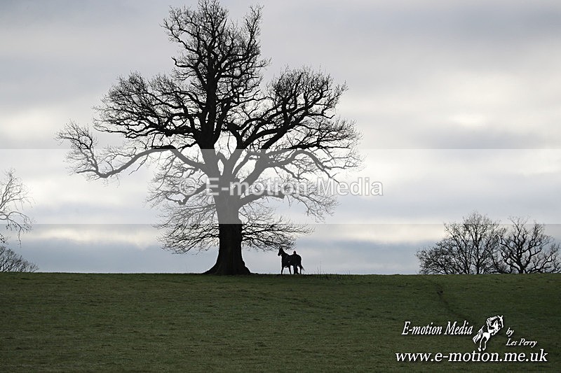 PtP 291224 64 - Harkaway Club PtP Chaddesley Corbett 29/12/24