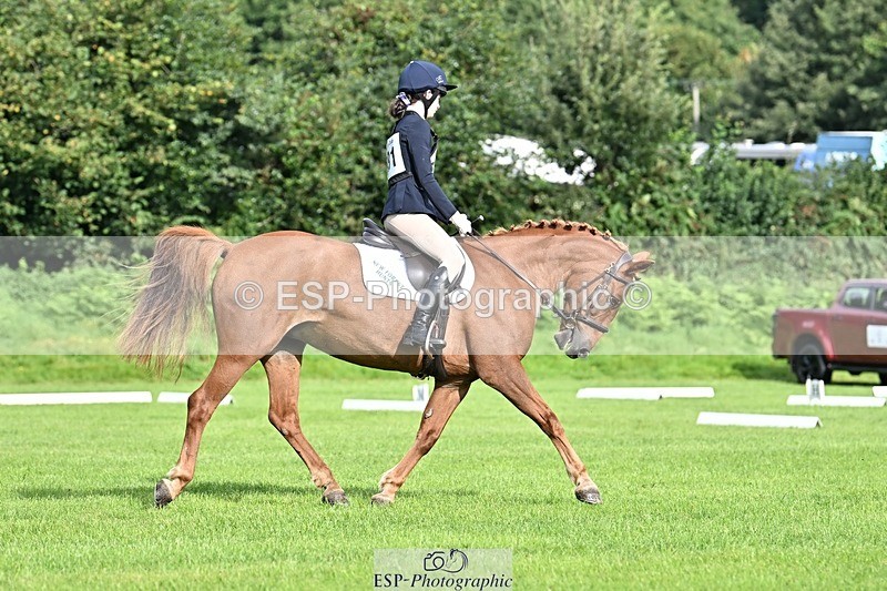 230826-094001-16174 - Sections A & B - 9 to 10am