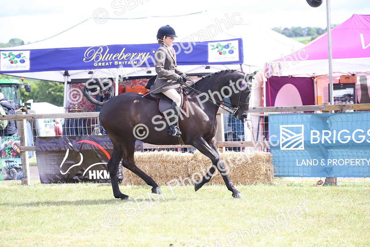 SBM_13206 - Class 95-96 - LIHS BSHA Rising Star Hack Riding Horse