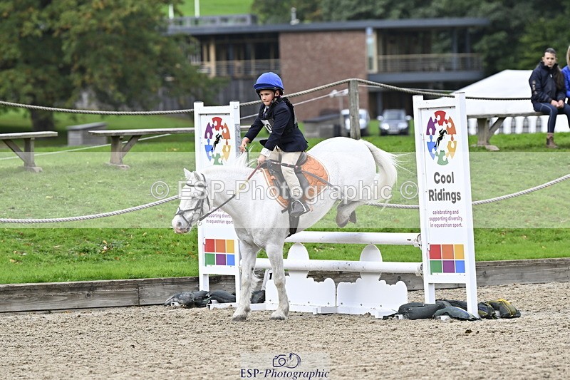 251005A-120800-03616 - Cls 08 Mini 70-75cm