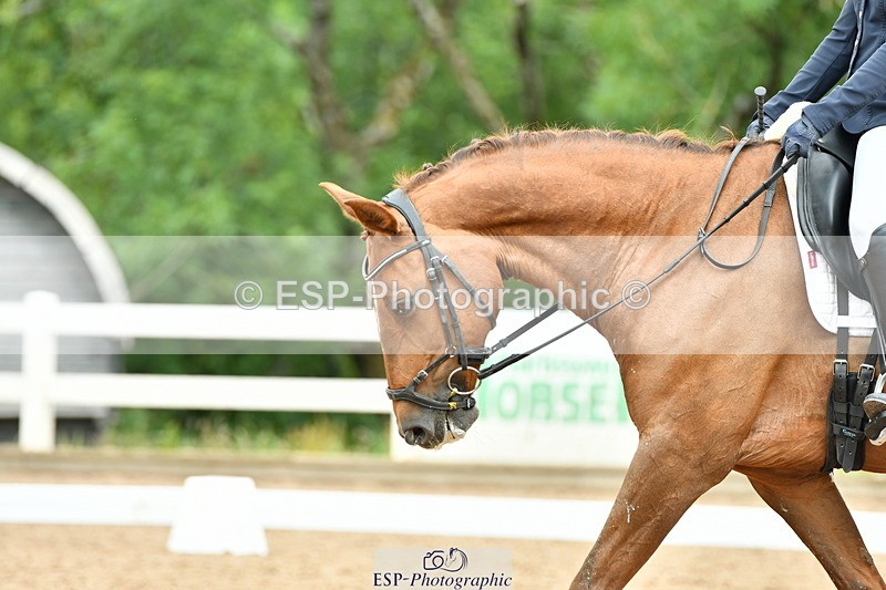 230701A-103305-04786 - Cls 4 Novice 23