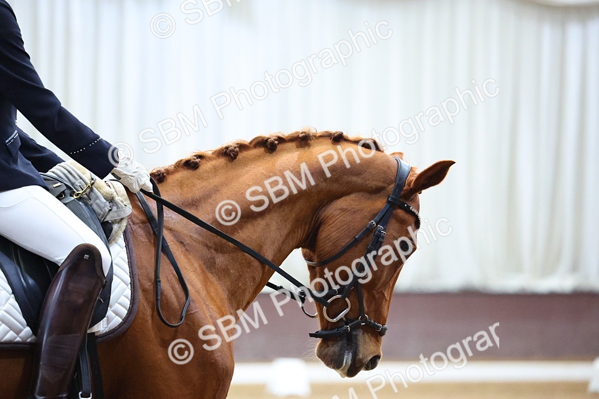 SBM_006528 - Class 12 - Prelim 5