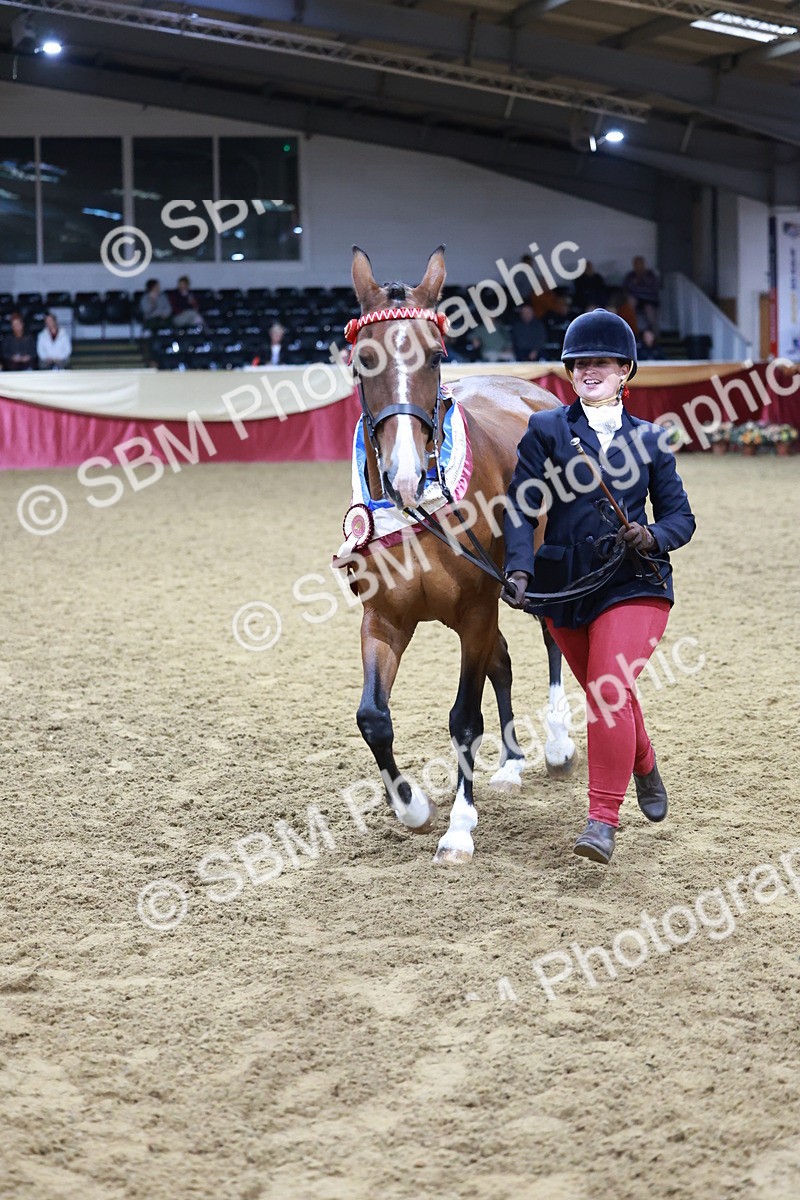 SBM_20159 - Class C - Novalty Champ