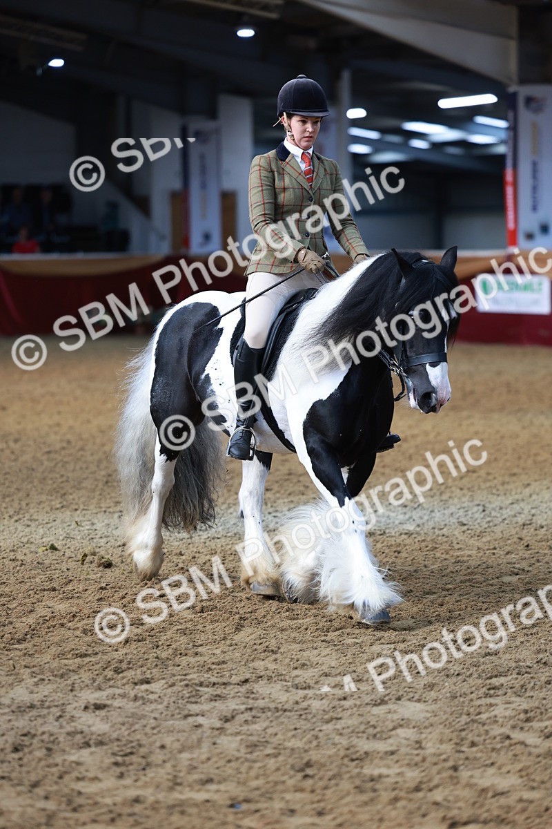 SBM_11896 - Class 102 - Equitation (Best Rider) Adult