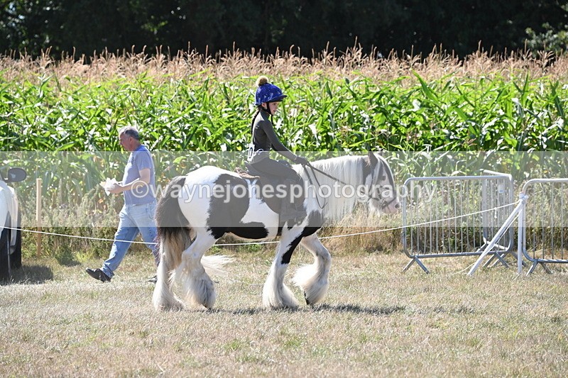 WJ6_8954 - Class 38 Ridden Riding Horse/Pony