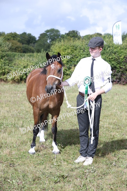 20250831-1696 - Class 22 - Mountain and Moorland Inhand