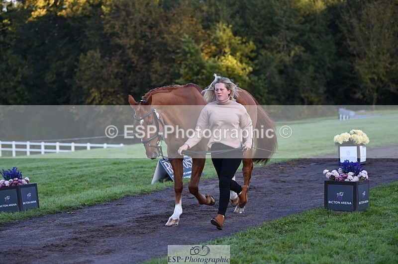 231022-084602-21342 - 625-KILTRA.ALFY-Abi.Meredith-TrotUp+SJ