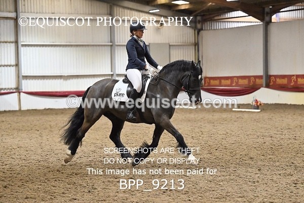BPP_9213 - ELEM 6