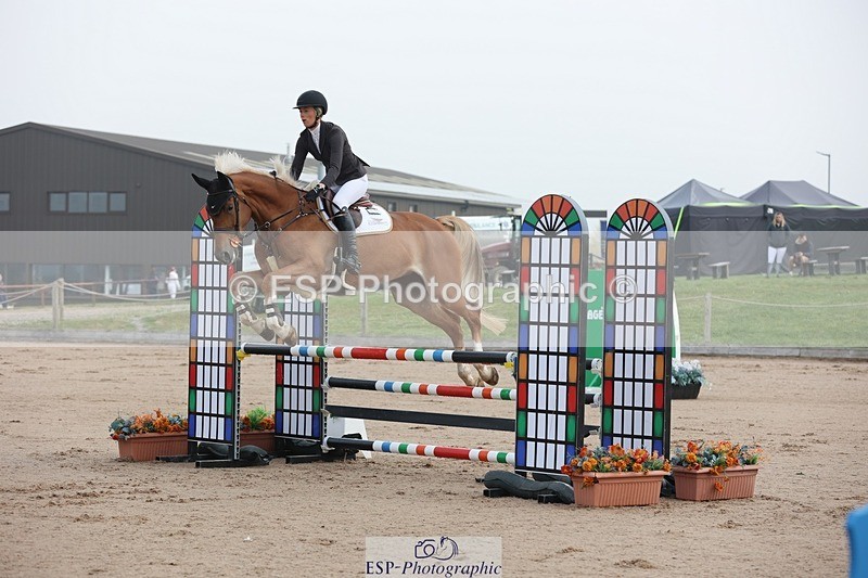 250424-083850-02429 - Cls 25 Young Horse 5yr old