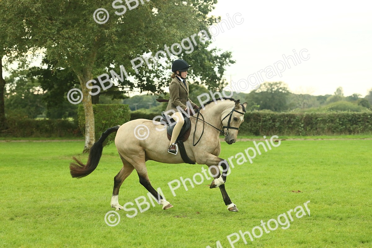SBM_73935 - S 61 - Show Pony & Show Hunter Pony Ridden