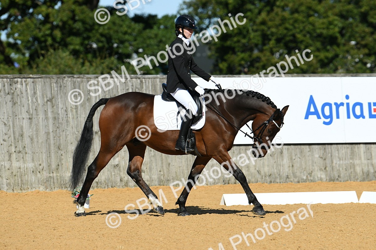 SBM_17996 - D4 - Small Tour Championship - Intro B