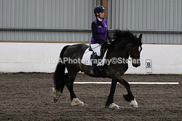 SIAL3769 - CAbin Dressage 5th july 2025
