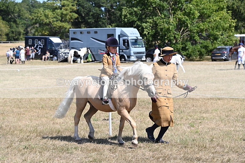WJ6_9152 - Championship Classes 33-38