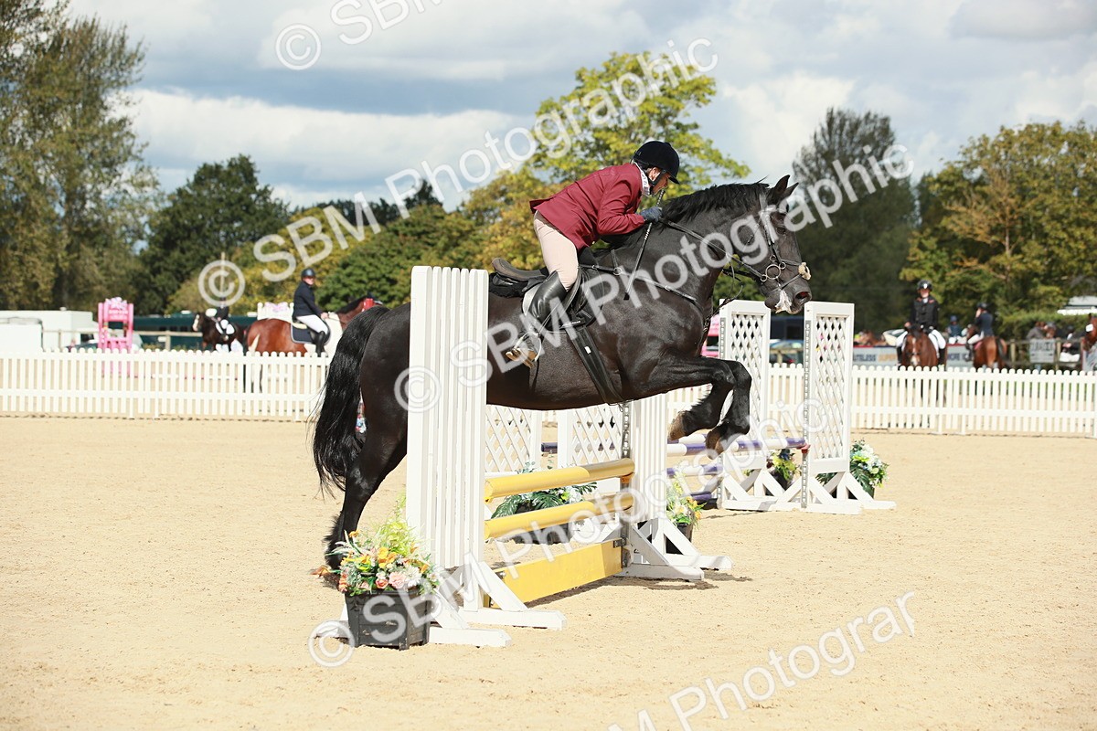 SBM_06096 - J29 Senior 65cm Championship