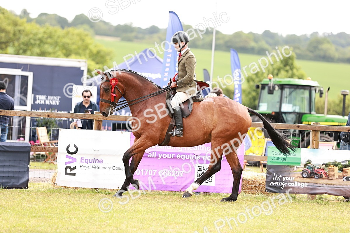 SBM_11590 - Class 81-84 - RIHS Ridden hunters Inc Ladies Hunter