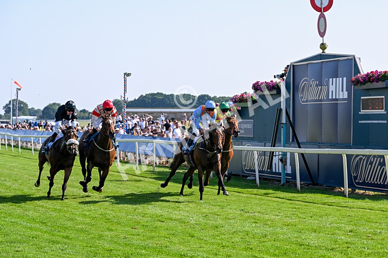 100726-Race 6-Ziggys Triton-0683 - Race 6 17.05pm William Hill Keep Your Raceday Positive Handicap