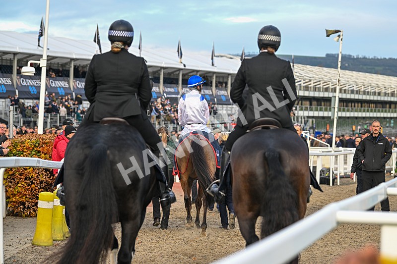 161124-Race 4-Il Ridoto-0623 - Race 4