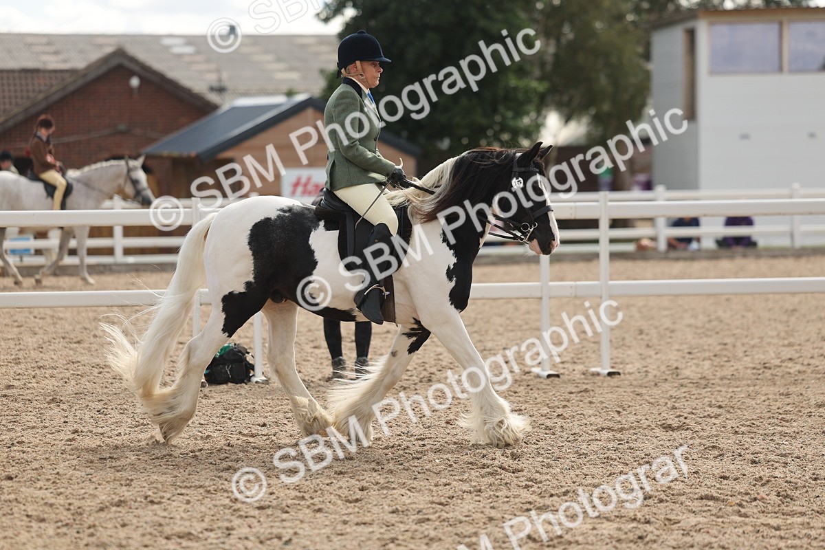 SBM_14626 - Class 307 - Ridden Coloured Pony