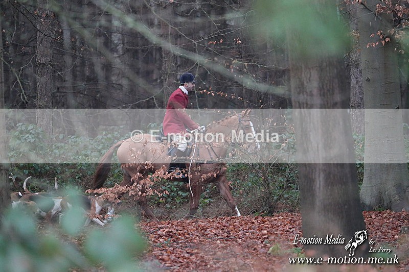HUPY 261224 307 - Pytchley with Woodland Hunt Boxing Day Meet 26th December 2024