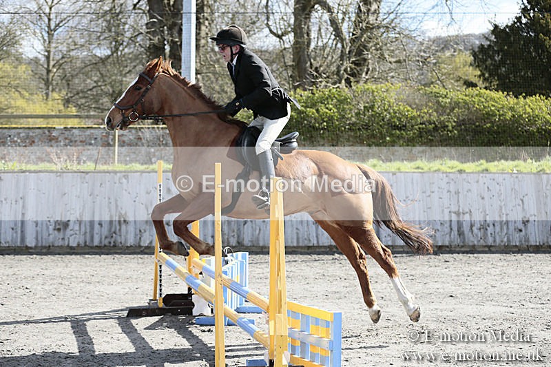 BVRC SJ 170319 243 - Bourne Valley Riding Club Showjumping 17/03/19