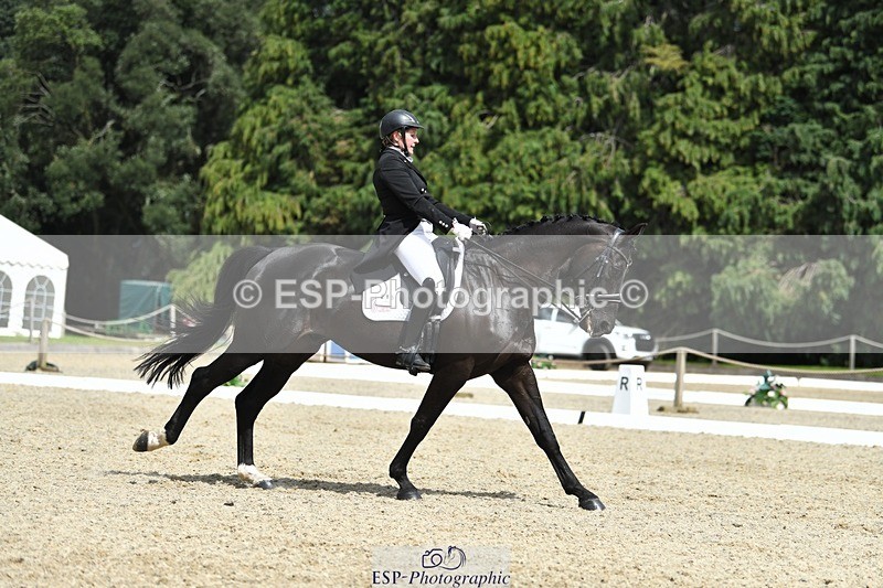 230812-140403-04590 - Cls 7 FEI PSG Bronze