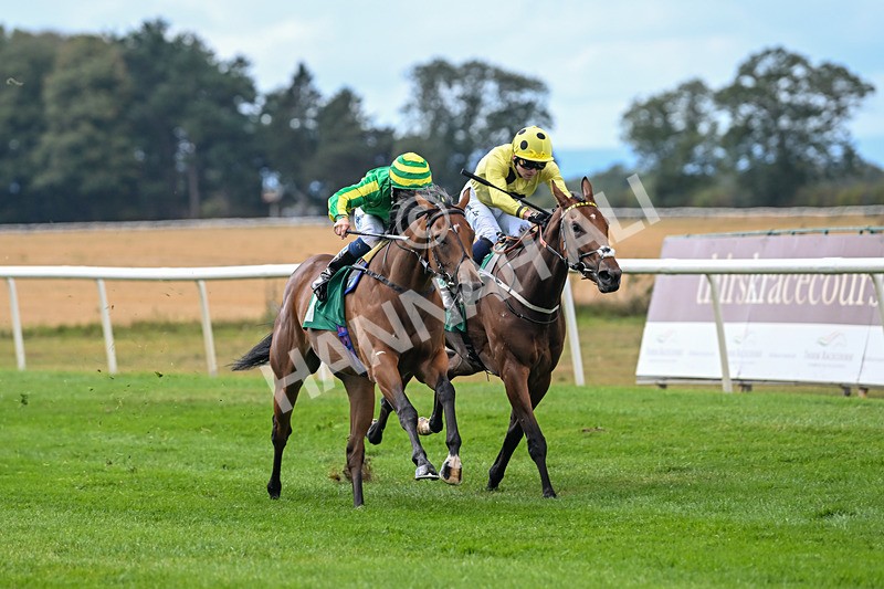 290825-Race 2-Brigids Well-8357 - Race 2