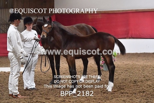 BPP_2182 - AFTERNOON 12.30 - 3.30PM