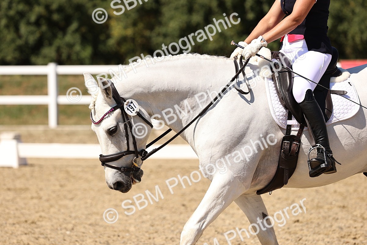 SBM_005578 - Elementary 4 Warm Up