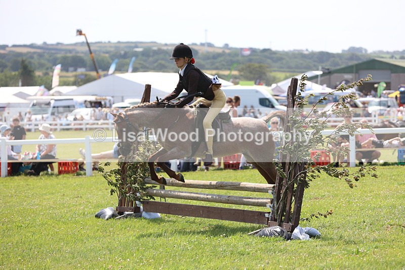 JPP_2448 - Class 21: Working Hunter 60cm