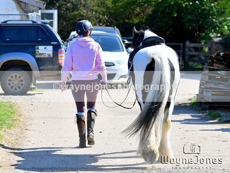 WJ5_1016 - Kelly Harris - Franklin balls, training at Tanners 05-04-25