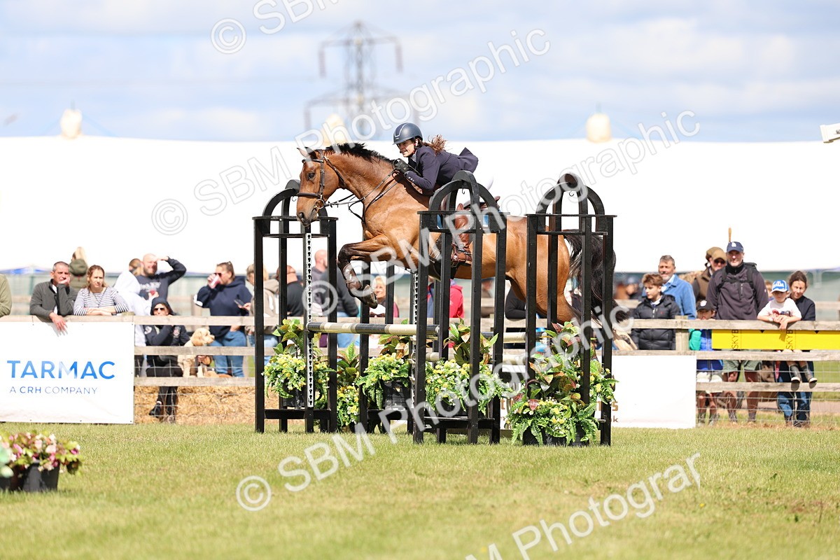 SBM_13675 - Class 206 - Senior Newcomers - 1.10m Open