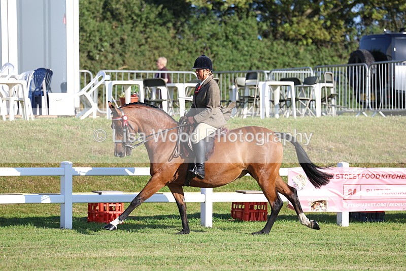 3E7A5016 - Class 1: Rising Star Small Hack/Riding Horses