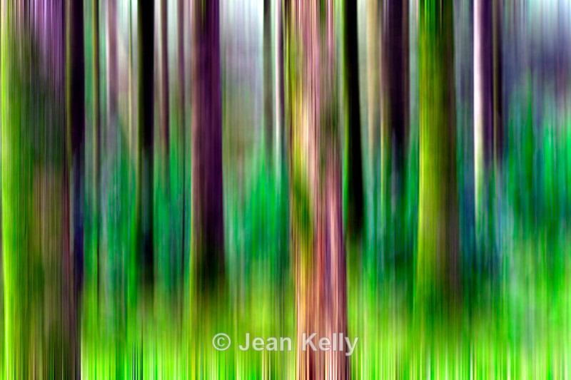 Tree - 1090 motion blur - Motion blur filter effect