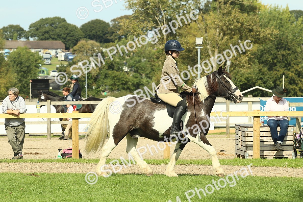 SBM_67518 - S56 - Coloured Pony Ridden