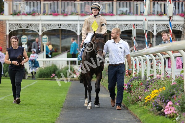 yr04092022r7-34 - Race 7 5.15pm Firmament Stakes
