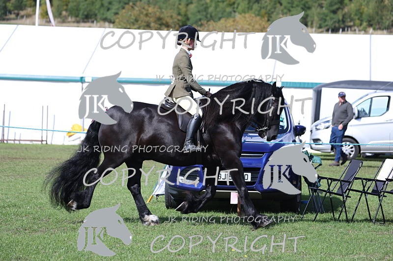 APP_3473 - Class 12 M&M ridden