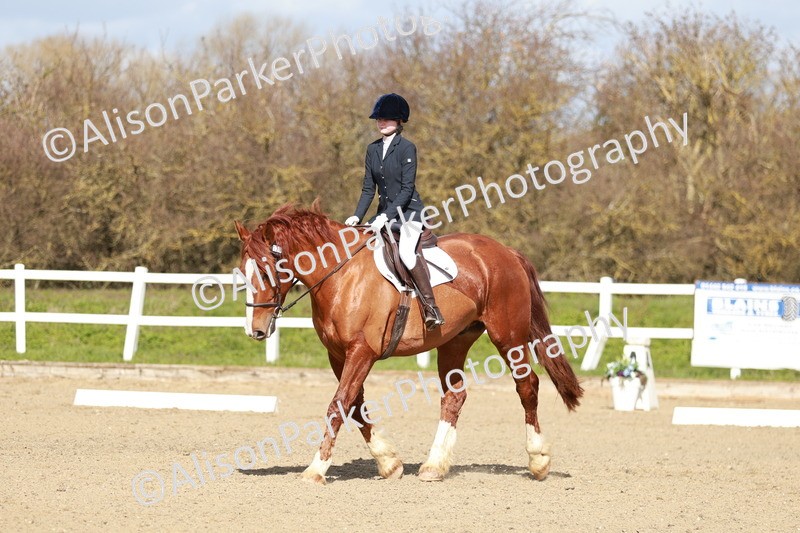 20260314-2930 - DR3 - Prelim 1