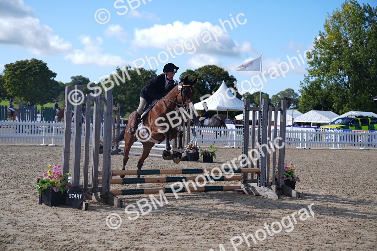 SBM_02352 - J54 Clear Round 45cm