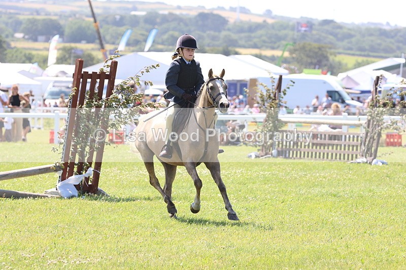 JPP_2207 - Class 20: Tiny Tots Working Hunter Pony