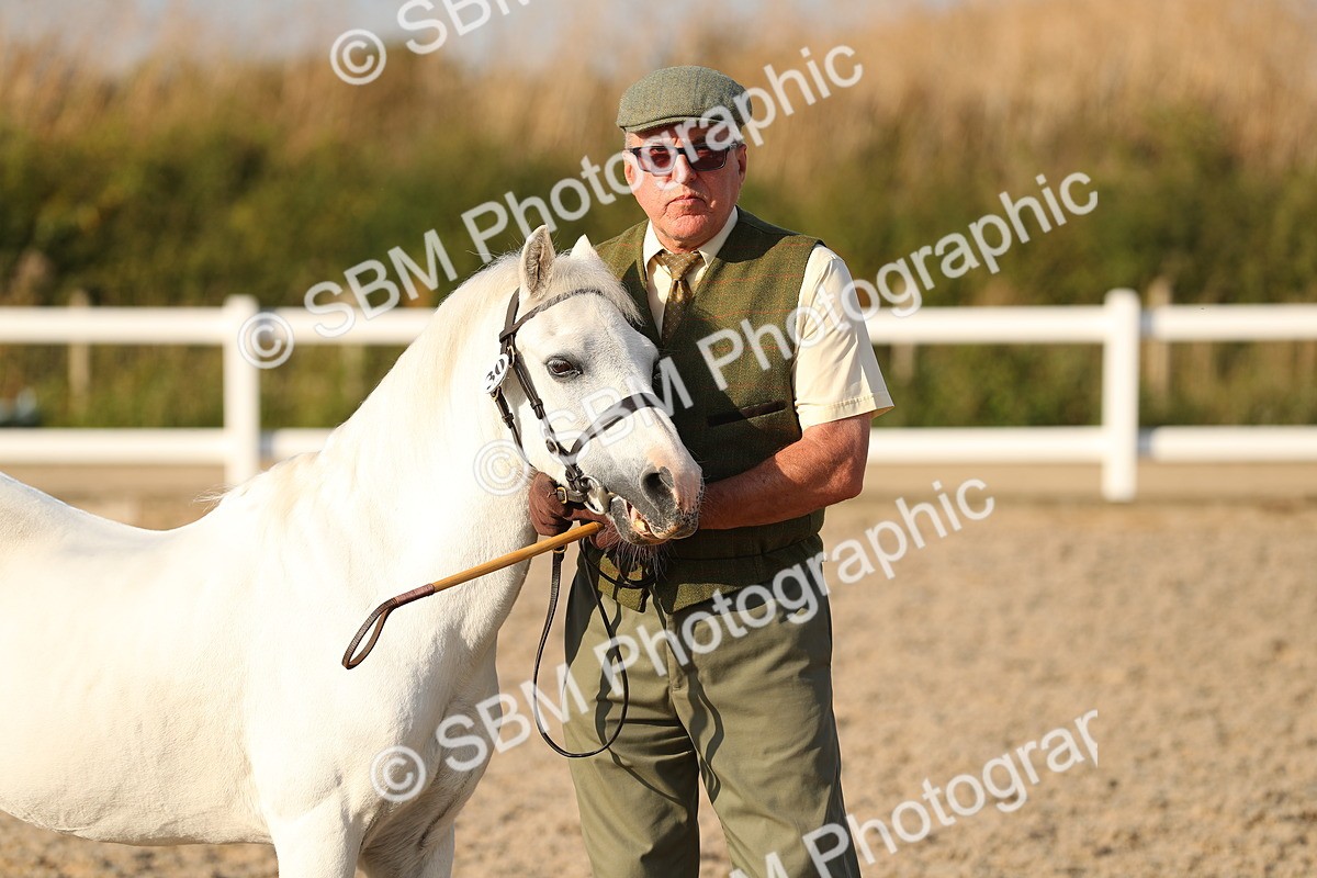 SBM_09015 - Class 29 IH Veteran Pony