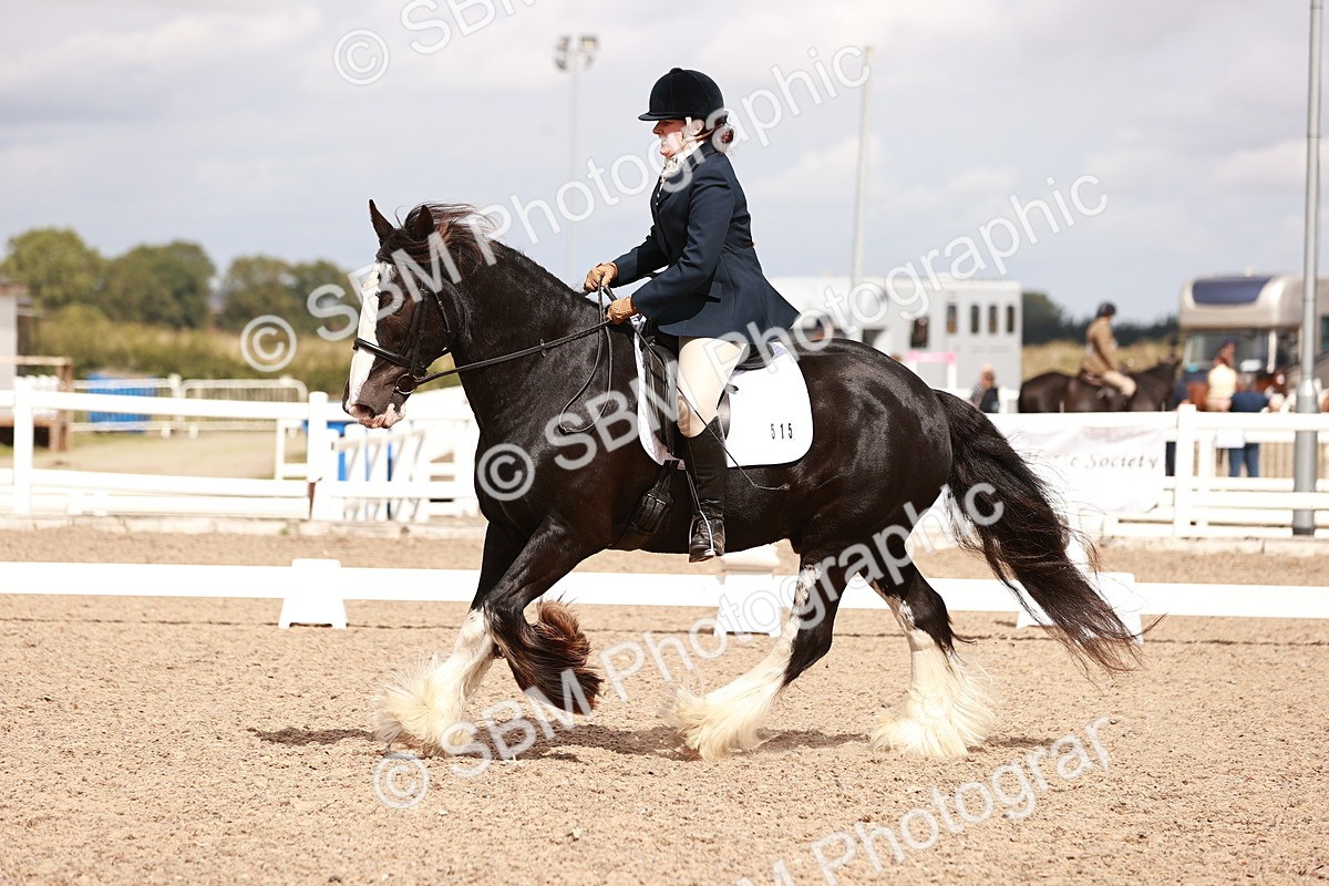 SBM_06212 - Class 37 - Novice 5