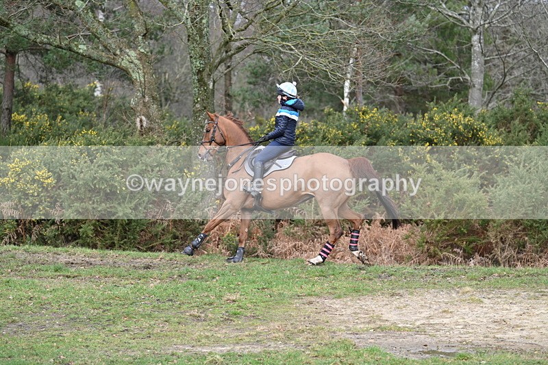 WJ7_8369 - Time 11:09 to 11:38