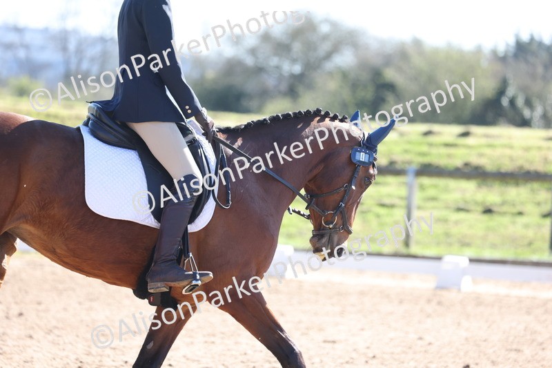 20260318-0499 - Class 5 - Novice 2