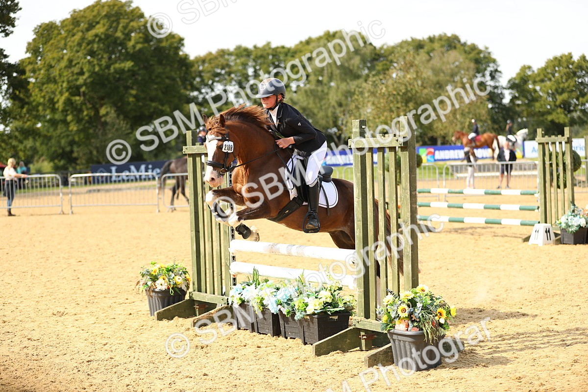 SBM_66101 - J17 - Junior Pony 80cm Championship