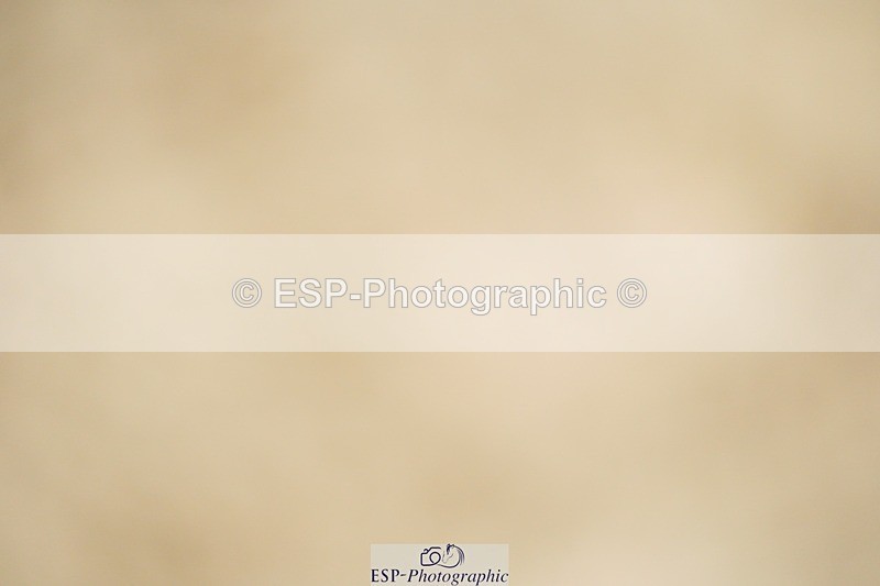 240309-110214-00241 - Cls 01 AE 70cm